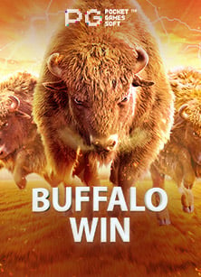 วิธีเล่นเว็บ 777 สล็อต ที่จะทำให้คุณรวย